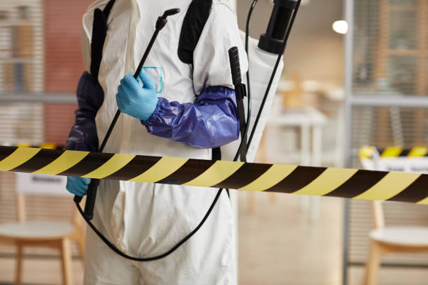 Professional Sewage Cleanup technician working in Central City, CO